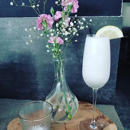 Konukevi Hoogerland 3*