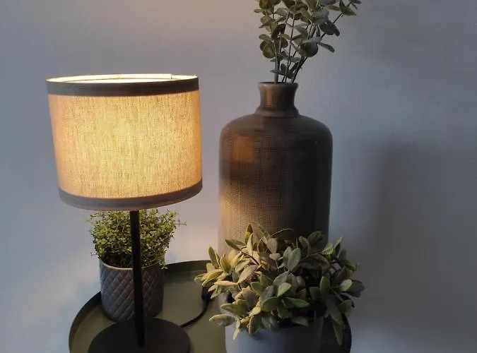 Pension Hoogerland 3*